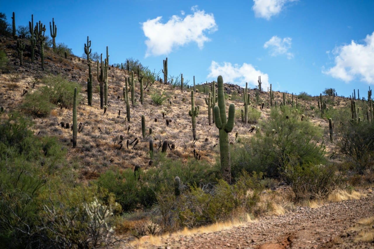 Boot Camps for Troubled Teens in Phoenix AZ