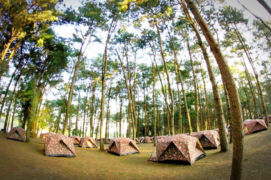 wilderness therapy programs